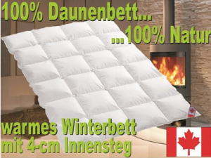 Daunendecke Test