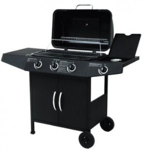 Gasgrillwagen Testbericht
