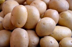 Kartoffel Sorten